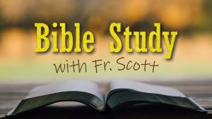 Bible Study with Fr. Scott